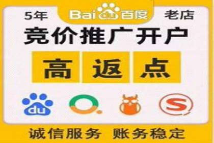 案例分享：SEM竞价代运营助力电商增长